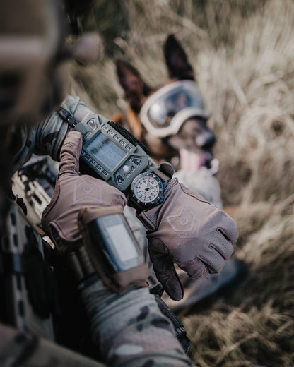 MoG Target Light Duty